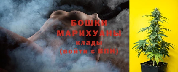 не бодяженный Бородино
