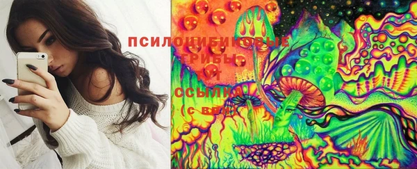 не бодяженный Бородино