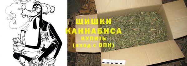 не бодяженный Бородино