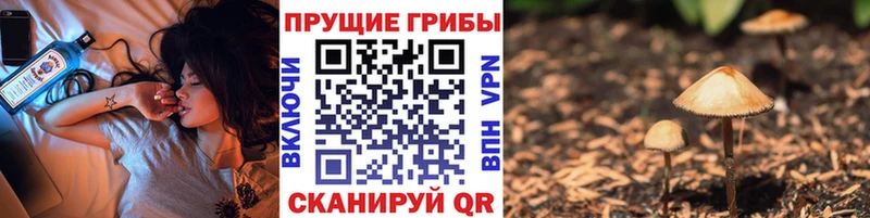 omg онион  Городец  Галлюциногенные грибы ЛСД 