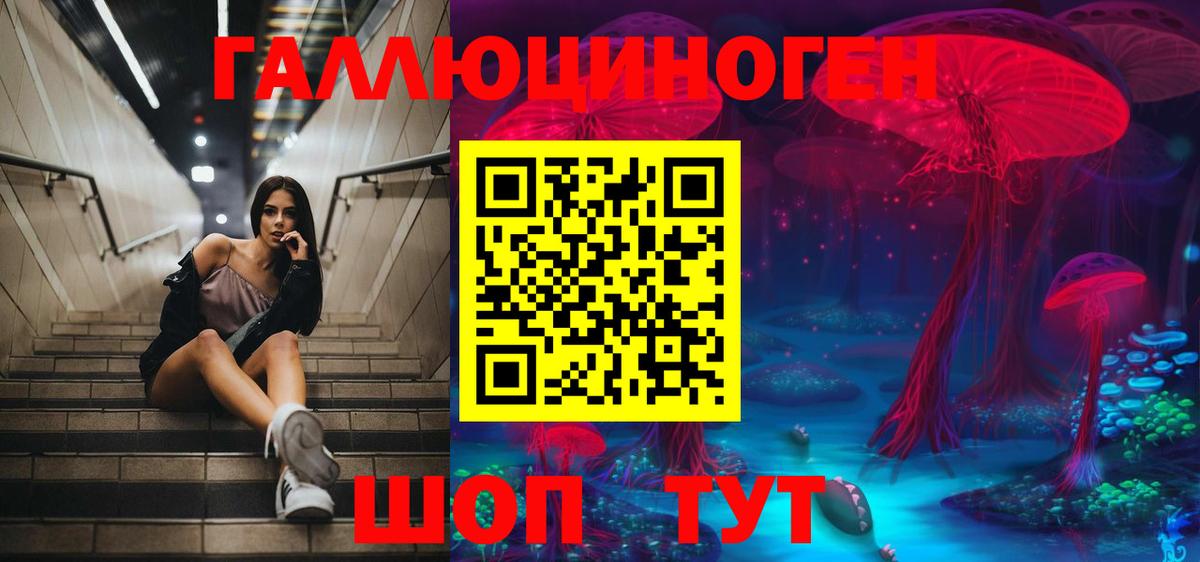 Галлюциногенные грибы мухоморы Городец